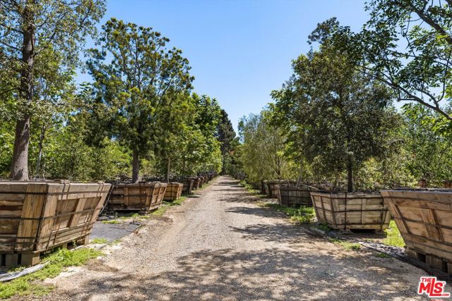 1048 E La Loma Avenue, Somis CA: https://media.crmls.org/mediaz/67e5f57b-924f-4ba8-aac9-4c987b094512.jpg