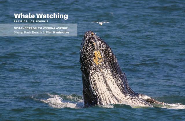 191 Winona Avenue, Pacifica CA: https://media.crmls.org/mediaz/67ec0064-29ca-4611-b742-000defa8ba69.jpg