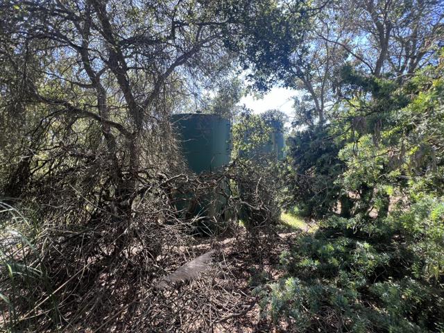 17160 Wilson Way, Royal Oaks CA: https://media.crmls.org/mediaz/680c60a2-cc68-435b-b57c-44967d73d2dc.jpg