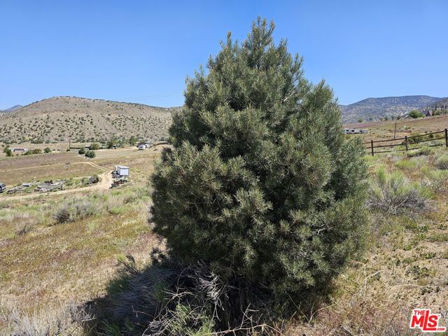 0 Pine Grove Dr, Tehachapi CA: https://media.crmls.org/mediaz/6814a8c1-a383-4a26-8f97-f7a17e23860d.jpg