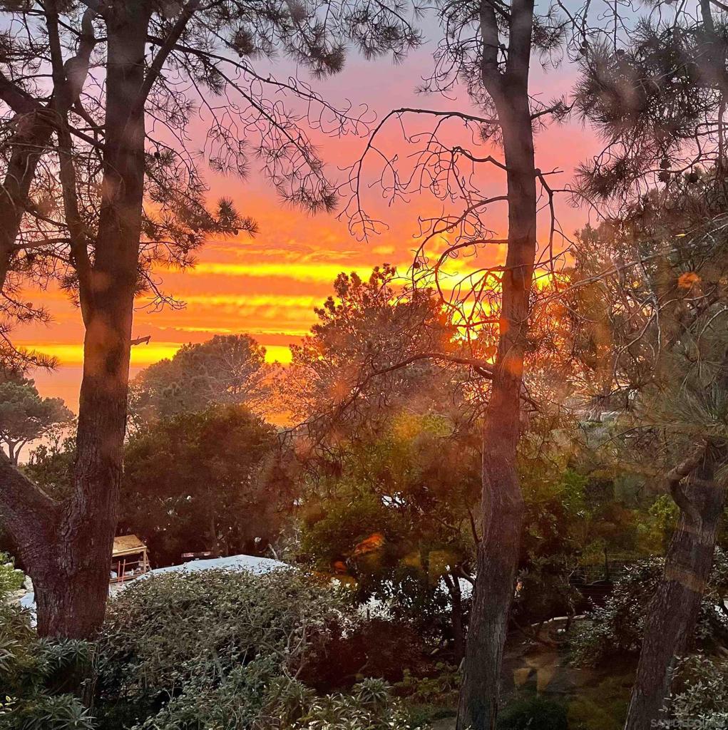 https://media.crmls.org/mediaz/6815df66-15a3-4eff-85d8-8af03b019af1.jpg?preset=X-Large