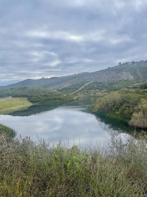 802 Azalea Ave, San Marcos CA: https://media.crmls.org/mediaz/681c378e-1235-4daf-8021-e8c3a16ea597.jpg