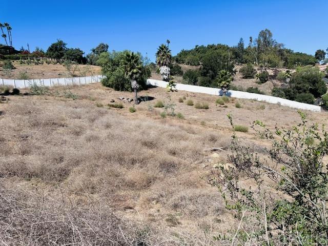 30409 Disney Lane, Vista, California 92084, ,Land,For Sale,30409 Disney Lane,CRNDP2409423