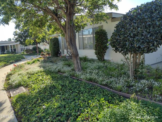 Detail Gallery Image 30 of 49 For 182 Rancho Adolfo Dr #83,  Camarillo,  CA 93012 - 2 Beds | 2 Baths