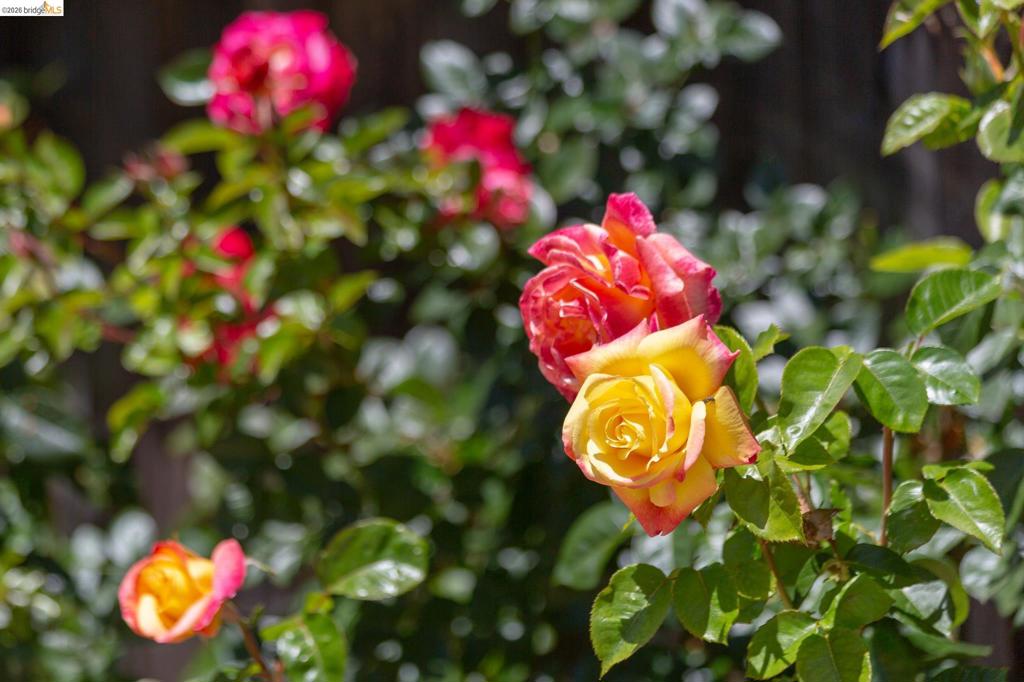 https://media.crmls.org/mediaz/68426964-34c9-4e11-b1a7-c231a1c1bf84.jpg?preset=X-Large