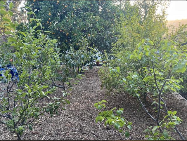 3958 Kenwood Dr, Spring Valley CA: https://media.crmls.org/mediaz/684b7b8f-6adc-4340-ac7a-0cd1e23880d7.jpg