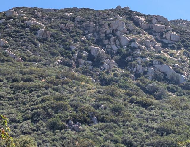 Detail Gallery Image 7 of 45 For 3333 Suncrest Bld, El Cajon,  CA 92021 - 5 Beds | 2 Baths