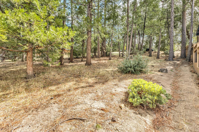 53184 Double View Drive, Idyllwild CA: https://media.crmls.org/mediaz/684bcbe6-bbfd-4ea6-9abe-fca1c6b61575.jpg