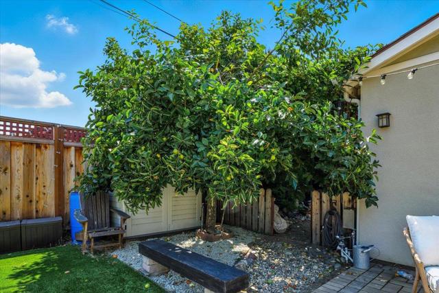 650 Ardis Avenue, San Jose CA: https://media.crmls.org/mediaz/687c879c-7b4c-4940-b658-65aff0d08996.jpg