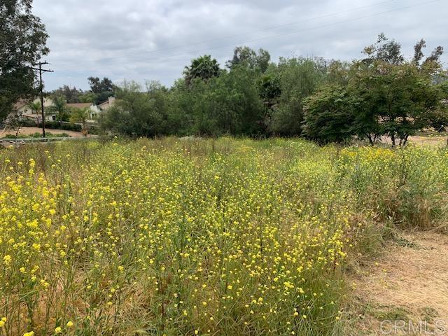 0 Rose Ranch Rd./Collado Ln., San Marcos, California 92069, ,Residential Land,For Sale,Rose Ranch Rd./Collado Ln.,NDP2404483