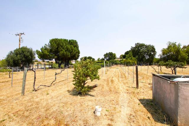 6460 Cabernet Drive, Hollister CA: https://media.crmls.org/mediaz/68834027-919e-4a85-bf54-55f5455828a0.jpg