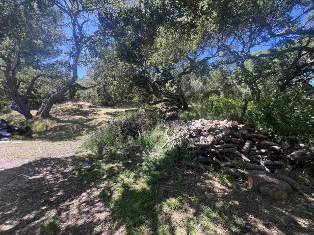 17160 Wilson Way, Royal Oaks CA: https://media.crmls.org/mediaz/688d208f-9303-4f89-a160-07a2cea10f6e.jpg
