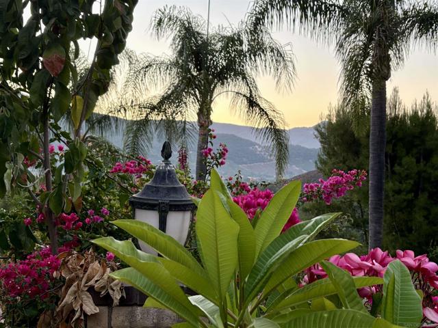 15725 Pauma Valley Drive, Pauma Valley CA: https://media.crmls.org/mediaz/6890f997-5b8c-4f4d-a176-7dcbdfb23ae7.jpg