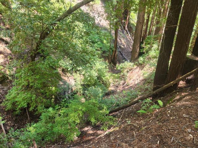 0 Lost Valley, Los Gatos CA: https://media.crmls.org/mediaz/689cdd4d-44b5-4770-955c-63e7d74f7773.jpg