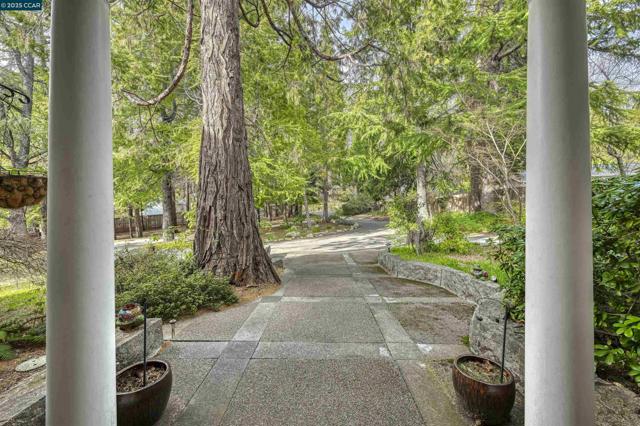 11417 Red Dog Rd, Nevada City CA: https://media.crmls.org/mediaz/68a57a81-f776-42e4-959e-aec0dc624ac3.jpg