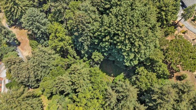 115 Edison Way, Soquel CA: https://media.crmls.org/mediaz/68a5f839-7e7c-46b4-828e-f069bc041f11.jpg