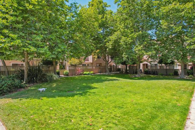 138 Griglio Drive, San Jose CA: https://media.crmls.org/mediaz/68a8ce0b-ec28-4b3f-b39b-c8f4ae98375e.jpg