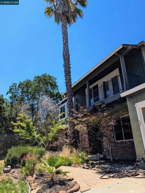 310 Miranda Ln, Alamo CA: https://media.crmls.org/mediaz/68ac379e-ce32-4883-b629-a55bcb04985e.jpg