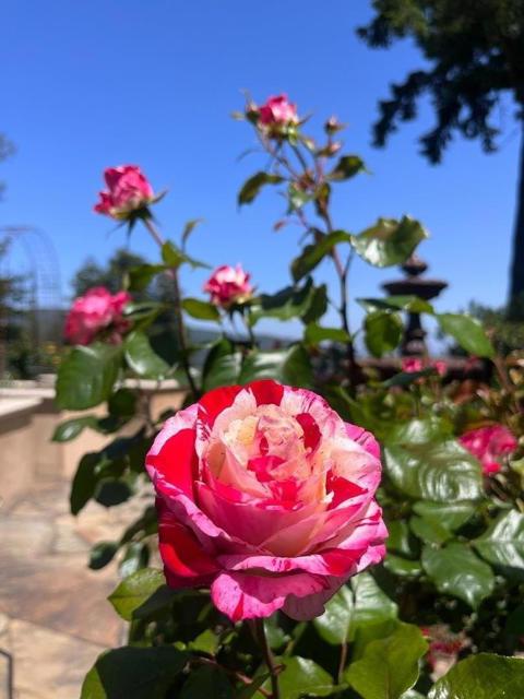21106 Brush Road, Los Gatos CA: https://media.crmls.org/mediaz/68ad74c3-6320-4e60-b793-76a0681ac5c9.jpg