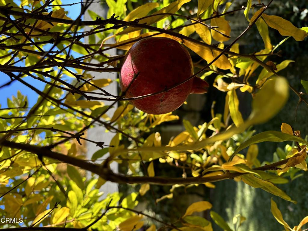 https://media.crmls.org/mediaz/68aec11f-62ac-4d9e-bcd9-dab048a8fa49.jpg?preset=X-Large