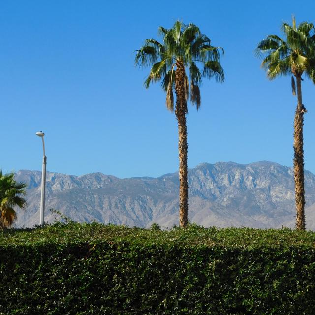 14 Mission Palms W Drive, Rancho Mirage CA: https://media.crmls.org/mediaz/68bdf4bc-c1c1-4b3e-93be-2fe6fa414ead.jpg