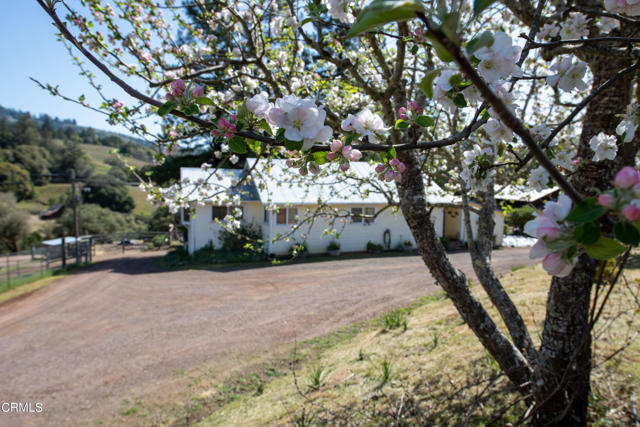 1810 Highway 128, Philo, CA, 95463 1810 Highway 128, Philo, CA, 95463