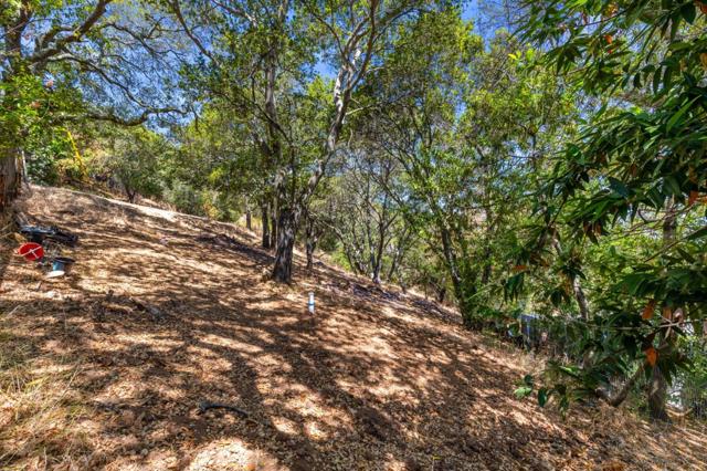 0 S Palomar Drive, Redwood City CA: https://media.crmls.org/mediaz/68c9bad5-0805-4173-b316-aa258f253f9a.jpg