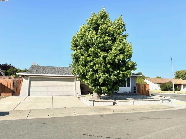 34288 Torrington Pl, Fremont CA: https://media.crmls.org/mediaz/68d06772-821d-4b16-9ab6-83252f975ce7.jpg