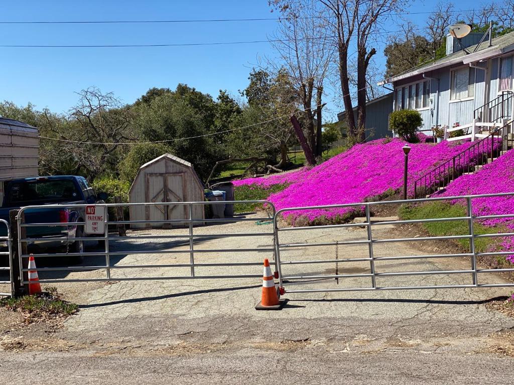 MLS #ML82001179 image #7