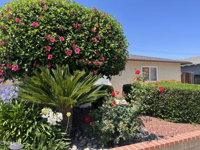 285 Second Street, Moorpark CA: https://media.crmls.org/mediaz/68d36d3c-decc-4c6c-b79d-9479ded78de1.jpg