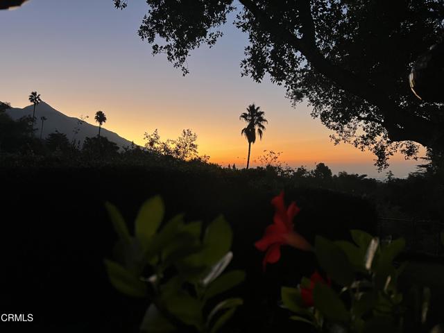 2880 Holliston Avenue, Altadena CA: https://media.crmls.org/mediaz/68dc5bf1-7708-4323-bafe-0c26f924a4b8.jpg