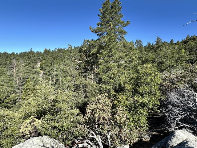 0 Mountain View, Idyllwild CA: https://media.crmls.org/mediaz/68ea72cf-2e1b-4142-8ee0-fcb2f3743c3c.jpg