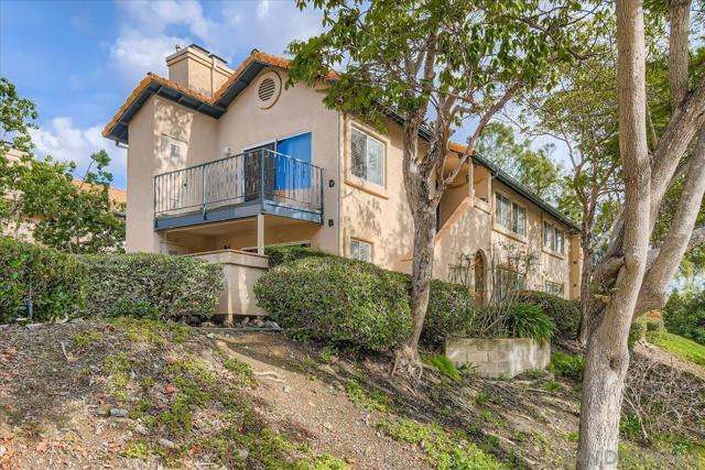 11313 Avenida De Los Lobos, San Diego CA: https://media.crmls.org/mediaz/68f648b1-37ae-4dd5-863c-56b6085ef78b.jpg