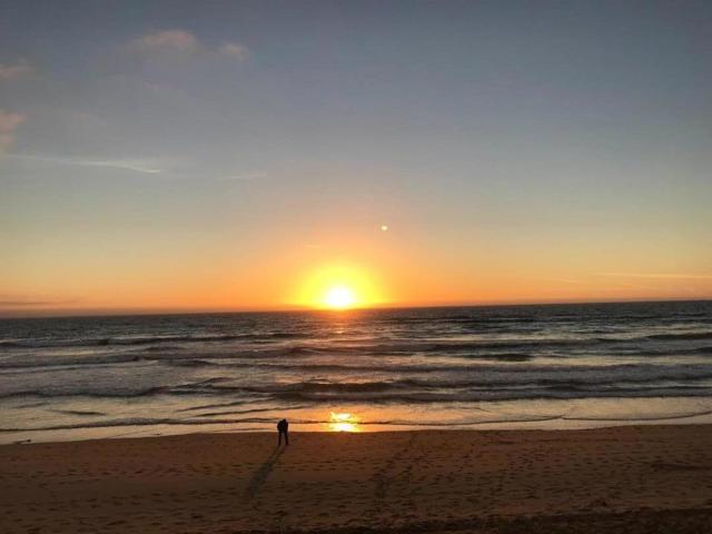 66 Pelican, Watsonville CA: https://media.crmls.org/mediaz/68f7deee-148a-4e08-b2d3-4b4acdaa26b4.jpg