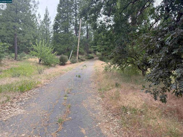 4227 Meadow View Rd, Murphys CA: https://media.crmls.org/mediaz/68f9dca9-e198-407c-9aa1-542bdf9eea02.jpg