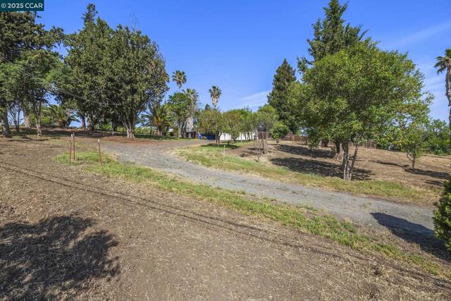 1051 Tilley Cir, Concord CA: https://media.crmls.org/mediaz/6901ee6d-9679-4e57-a9b2-ad0e4d4a5447.jpg