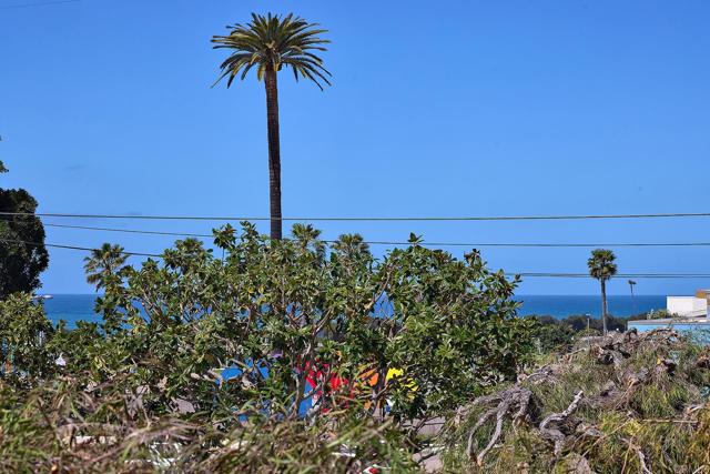 159 Mozart Avenue, Cardiff by the Sea CA: https://media.crmls.org/mediaz/6907e54e-5e2b-45de-90b1-647752e24aca.jpg