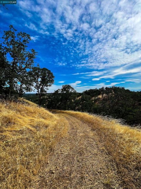 0 Lot 22 Rolling Oaks, Cottonwood CA: https://media.crmls.org/mediaz/690c882c-ca3c-4d89-bd7e-143799a00cc3.jpg