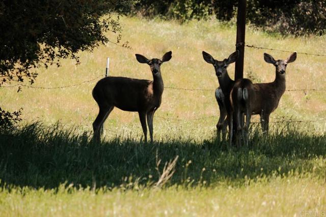 Image 11 of 31 For 3510 Deer Lake Park Road