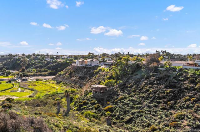 Spring time canyon view