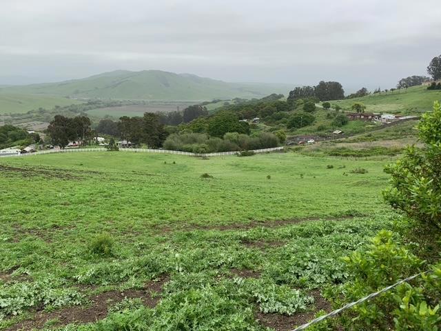 1537 School Road, San Juan Bautista CA: https://media.crmls.org/mediaz/691b7488-79bc-4ae9-8ff3-cf472a8c8a47.jpg