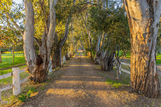 Detail Gallery Image 49 of 55 For 1519 Ayers Ave, Ojai,  CA 93023 - 5 Beds | 3 Baths