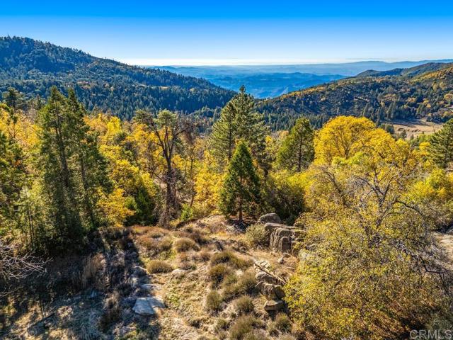 Detail Gallery Image 27 of 33 For 0 State Park Rd, Palomar Mountain,  CA 92060 - – Beds | – Baths