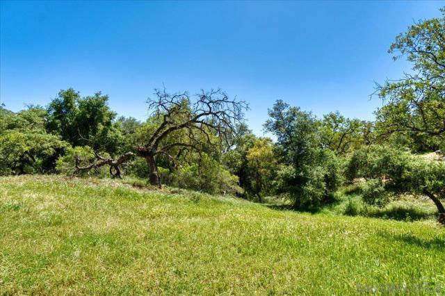 24903 Oakana Rd, Ramona CA: https://media.crmls.org/mediaz/69246ddb-3dba-4ca4-a35a-9dc792179a8c.jpg