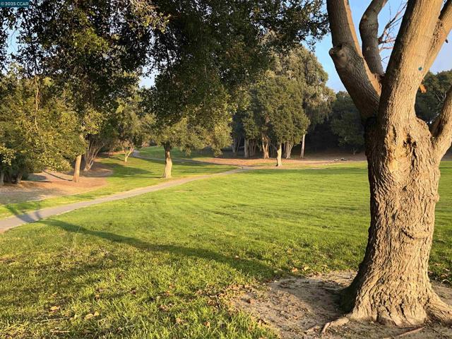 120 Bonita Ct, Rodeo CA: https://media.crmls.org/mediaz/692e2bf0-239d-4d50-9cdf-38225e076480.jpg