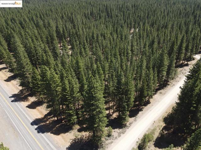 45 Claireville RD, Portola CA: https://media.crmls.org/mediaz/69355bfe-175a-418b-9875-83edd46a96a5.jpg