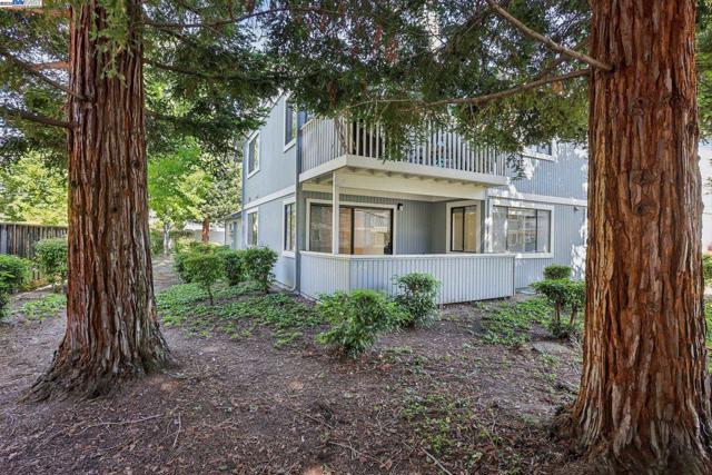 34671 Agree Ter, Fremont CA: https://media.crmls.org/mediaz/693817c1-f98d-4463-8255-916fd07e8475.jpg