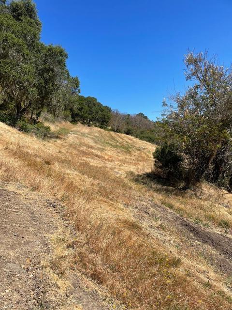 0 Tartan Trail Road, Hillsborough CA: https://media.crmls.org/mediaz/6938250f-fc37-4ada-82ac-506c7dc31709.jpg