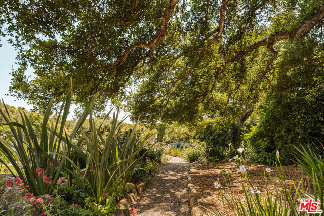 663 Lilac Drive, Santa Barbara CA: https://media.crmls.org/mediaz/693917c3-a953-4978-938a-104bed0f3d59.jpg