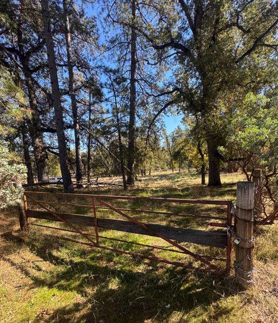 2795 State Highway 49, Mariposa CA: https://media.crmls.org/mediaz/694c3853-42a5-40e7-9d97-ec7b91c831fe.jpg